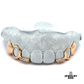 Solid, Open, & Diamond Bar Grillz